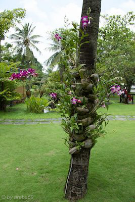 vn_september_15_00040